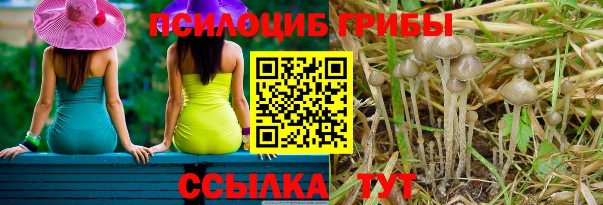 Бошки Шишки Миллерово